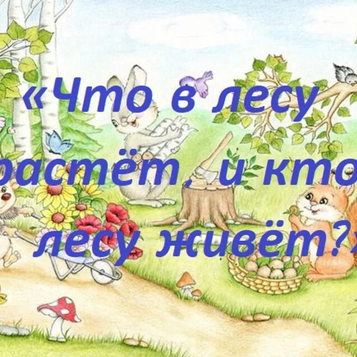 экологическая мозайка