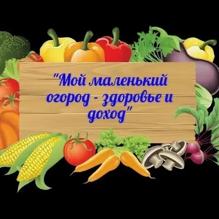Мой маленький огород - здоровье и доход