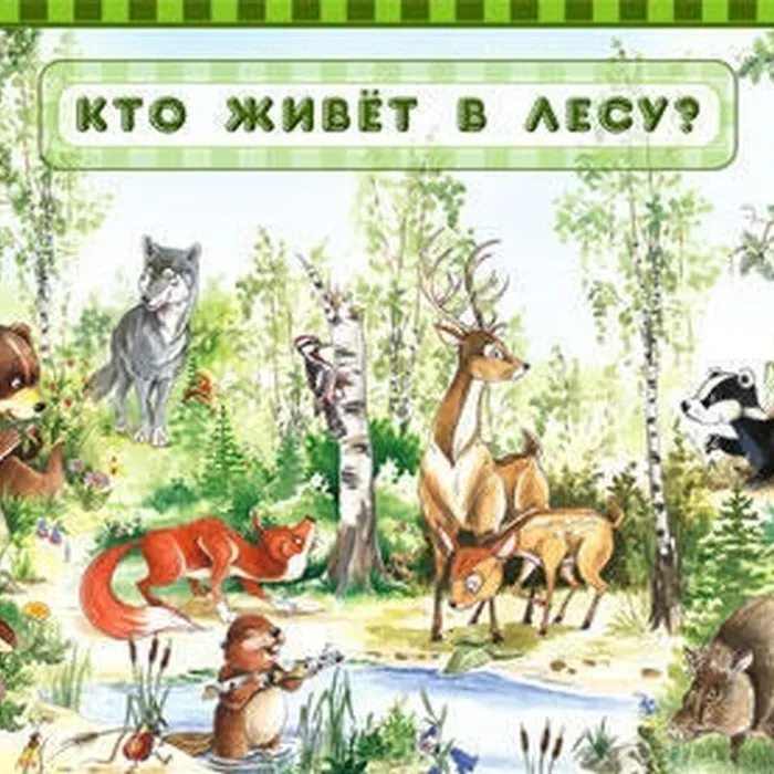 викторина