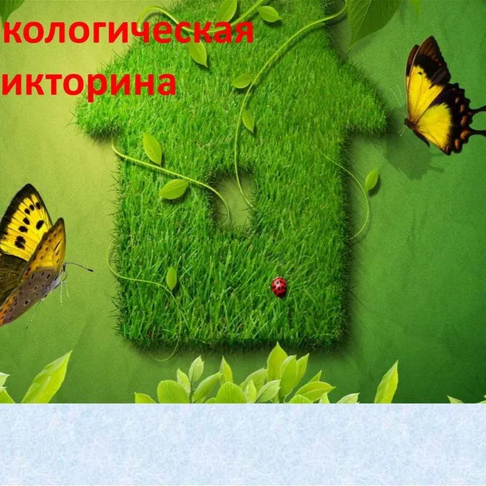 Лес – это наше национальное богатство